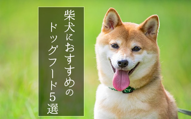 柴犬におすすめ ドッグフードランキング5選 口コミ評判でも人気な犬の餌を徹底比較 ドグラン